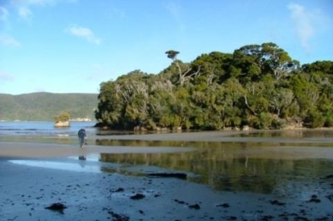 South Sea Hotel - Stewart Island Half-moon Bay Luaran gambar